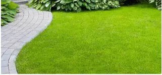 Godrej Whitefield Villas